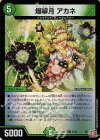  36/80 R-foil 爆翠月 アカネ(デュエナマイトVer.) 