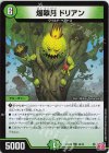 49/76 U 爆翠月 ドリアン