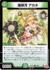 21/76 R 爆翠月 アカネ