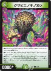 52/99 R クサビエノキノヌシ