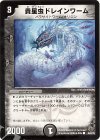  46/55/Y8 C 貴星虫ドレインワーム 