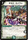 107/110 C キセル・カイワレ
