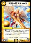 11/13 C 交錯の翼 アキューラ