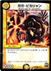 12/13 C ガガ・ピカリャン
