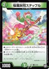 31/48 U 桜風妖精ステップル