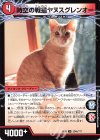  224a/???｜224b/??? U 時空の戦猫シンカイヤヌス｜時空の戦猫ヤヌスグレンオー 