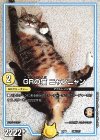 246/??? - GRの猫 ニャンニャン