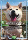  251/??? - GRの犬 ワンワンワン 