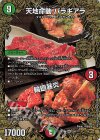 258/??? MHZ 天地命動 バラギアラ｜輪廻暴炎