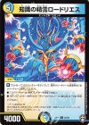  22/42 U 知識の精霊ロードリエス 