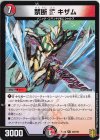 30/100 R 禁断V キザム
