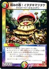 17/55 R 極みの香!イタダキマツタケ