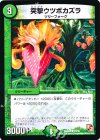 53/55 C 突撃ウツボカズラ