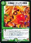 54/55 C 大集結!ドングリ軍団