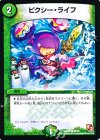 55/55 C ピクシー・ライフ