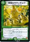 105/110 C 妥協なきラッキョウ