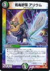  55/55 C 有毒野菜 アリウム 