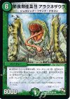  35/110 R 節食類怪集目 アラクネザウラ 