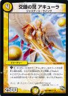  72/110 C 交錯の翼 アキューラ 