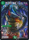 S10/S10 SR 界王類七動目 ジュランネル