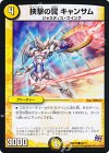 46/71 C 挟撃の翼 キャンサム