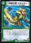  82/94 C 白緑の面 トライオン 