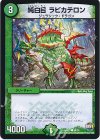  58/74 C 純白目 ラビカテロン 