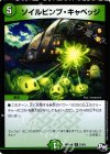 21/61 R ソイルピンプ・キャベッジ