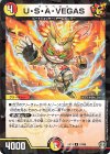 51/95 U-foil U・S・A・VEGAS