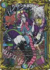  19A/20 SR ドンドン水撒くナウ(20thレア仕様) 