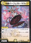 58/95 C 光器パーフェクト・マライア