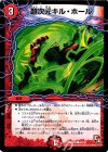 42/42 C 超次元キル・ホール