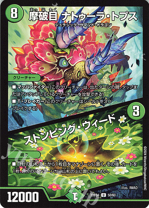 U 摩破目 ナトゥーラ・トプス｜ストンピング・ウィード | 販売 | [DM23-BD4] エキサイティング・デュエパ・デッキ ドラドラドラゴン龍幻郷 | デュエルマスターズ