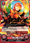  B11-062 N 森の村の才子 リュート 