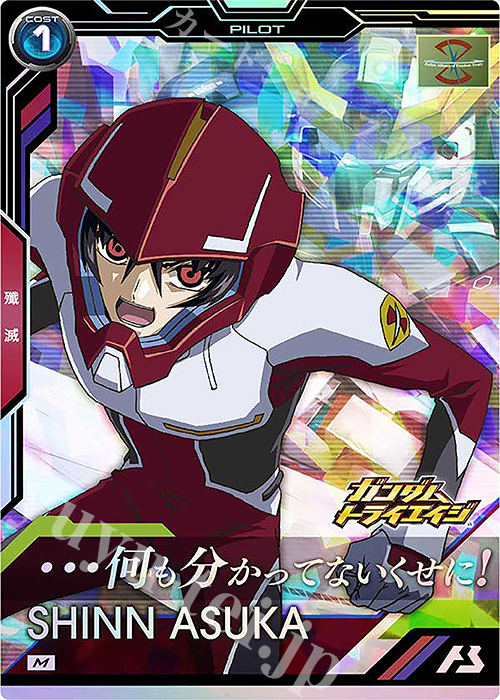 M シン・アスカ | 販売 | 機動戦士ガンダムSEEDシリーズVol.2 | 機動戦士ガンダム アーセナルベース