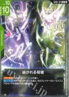 GD05-107 U 紡がれる祝福