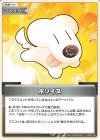  hBP03-103 C ホソイヌ 