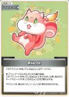  hBP03-104 C Riscot 