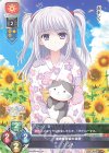 LO-3251 P リムス