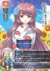 LO-3376 P リシア