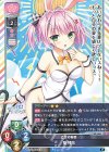 LO-4255 P 聖 橘花