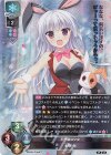  LO-2031 SR 玉樹 桜 