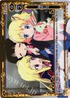  01-118 P-R 両手に花 
