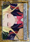  02-106 P-UC アヒルグチ 