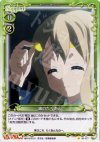 01-177 C 紬のたくあん