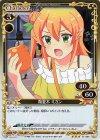  01-069 R 陽夏木 ミカン 