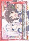  01-001 SR ネコぱら(ホロなし) 