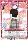02-009 SR 望月 紅葉(ホロなし)