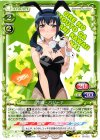 02-022 R 沙織・バジーナ