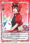  01-001 SR 赤血球(ホロなし) 